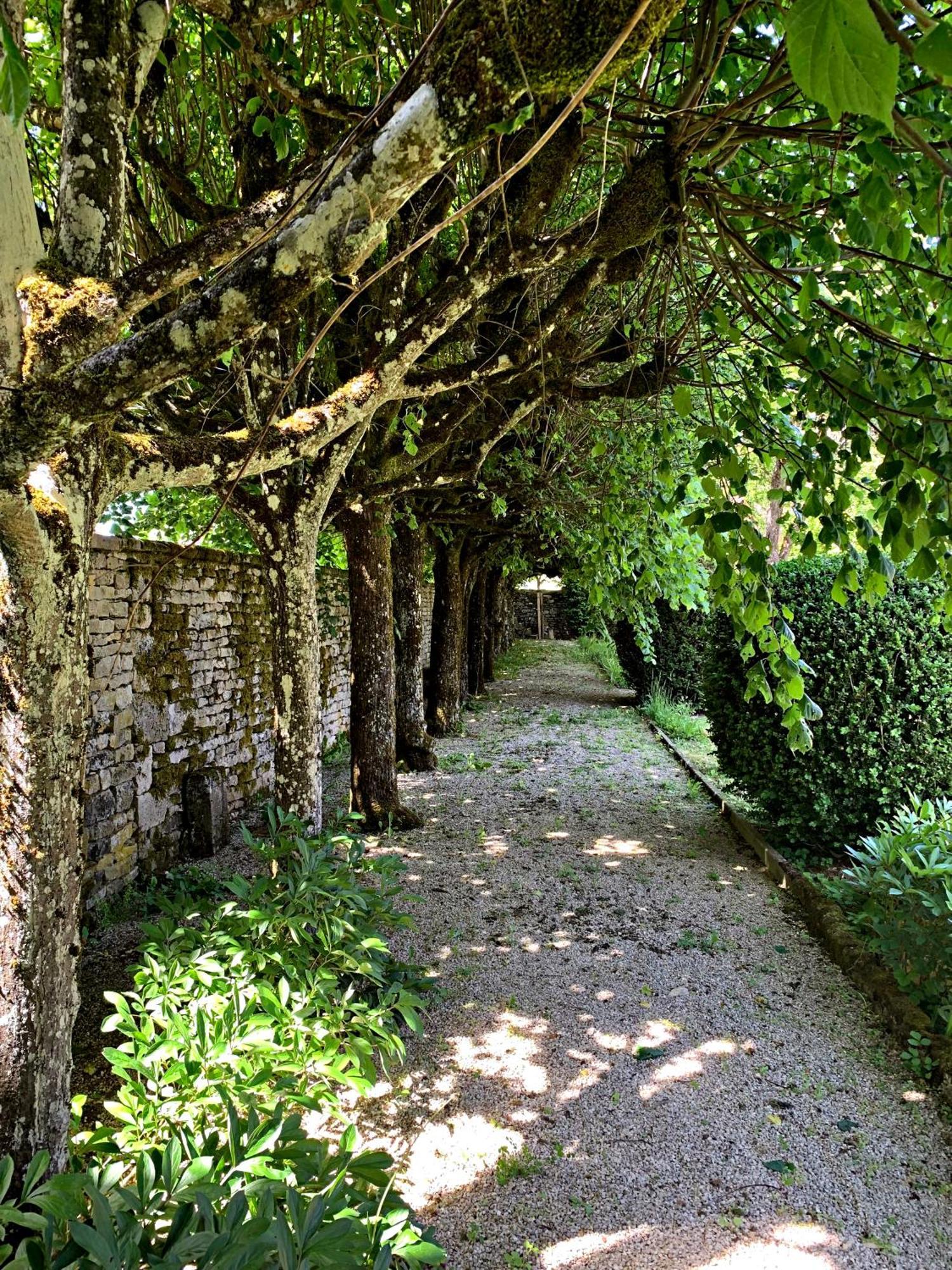 Le Clos Du Marronnier Rivieres-les-Fosses Екстер'єр фото